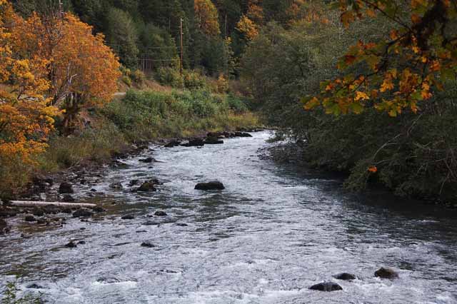 Elwha River Valley Rd.